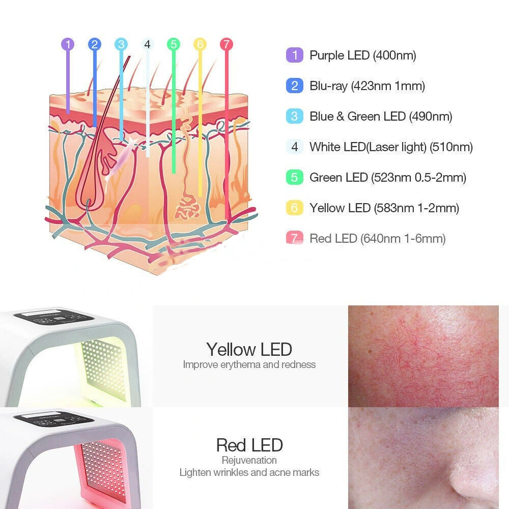 PDT LED Light Therapy Machine for Skin Care Salon Use Beauty Equipment